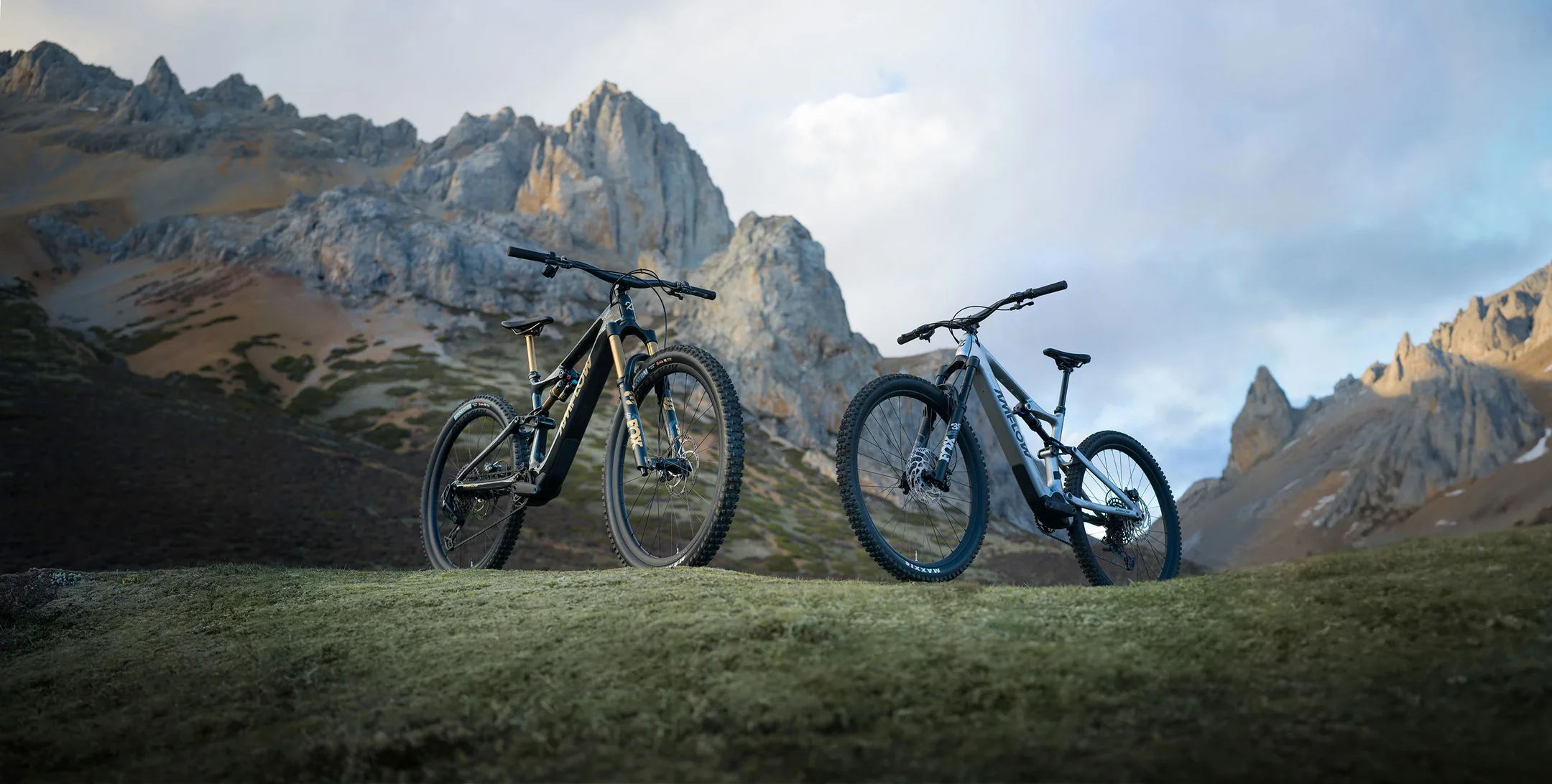 Welcome to Our Store